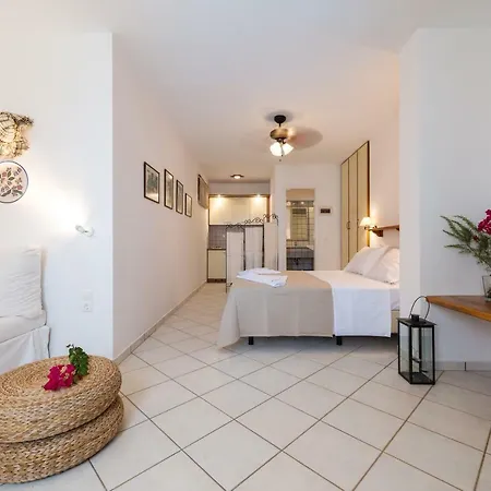 Διαμέρισμα Andros Belle Vue Κυπρί
