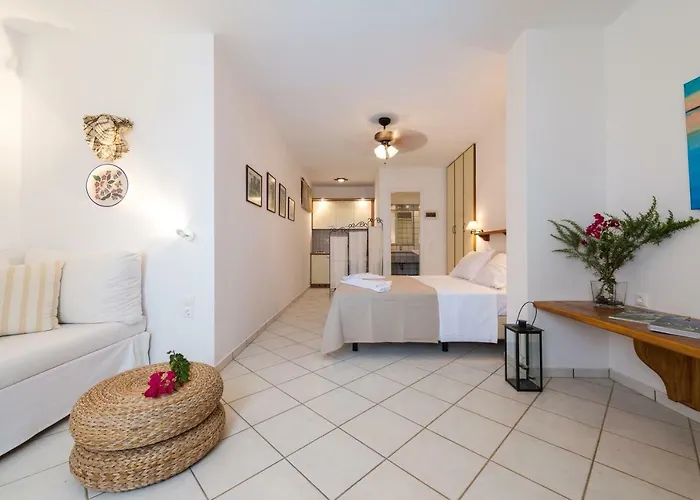 Διαμέρισμα Andros Belle Vue Κυπρί